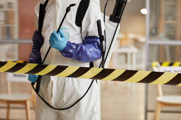 Professional Hoarding Cleanup technician working in New Milford, IL